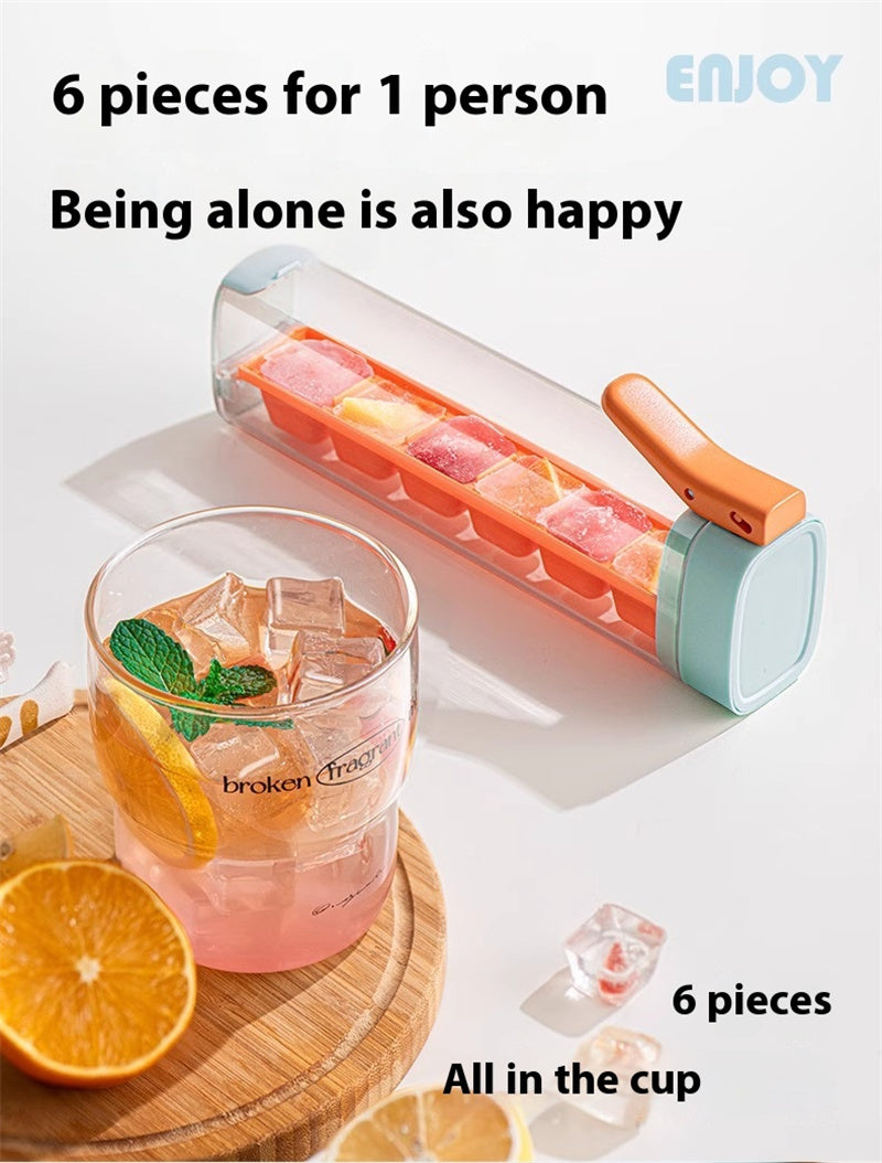 Ice Cube Mold with Storage Box