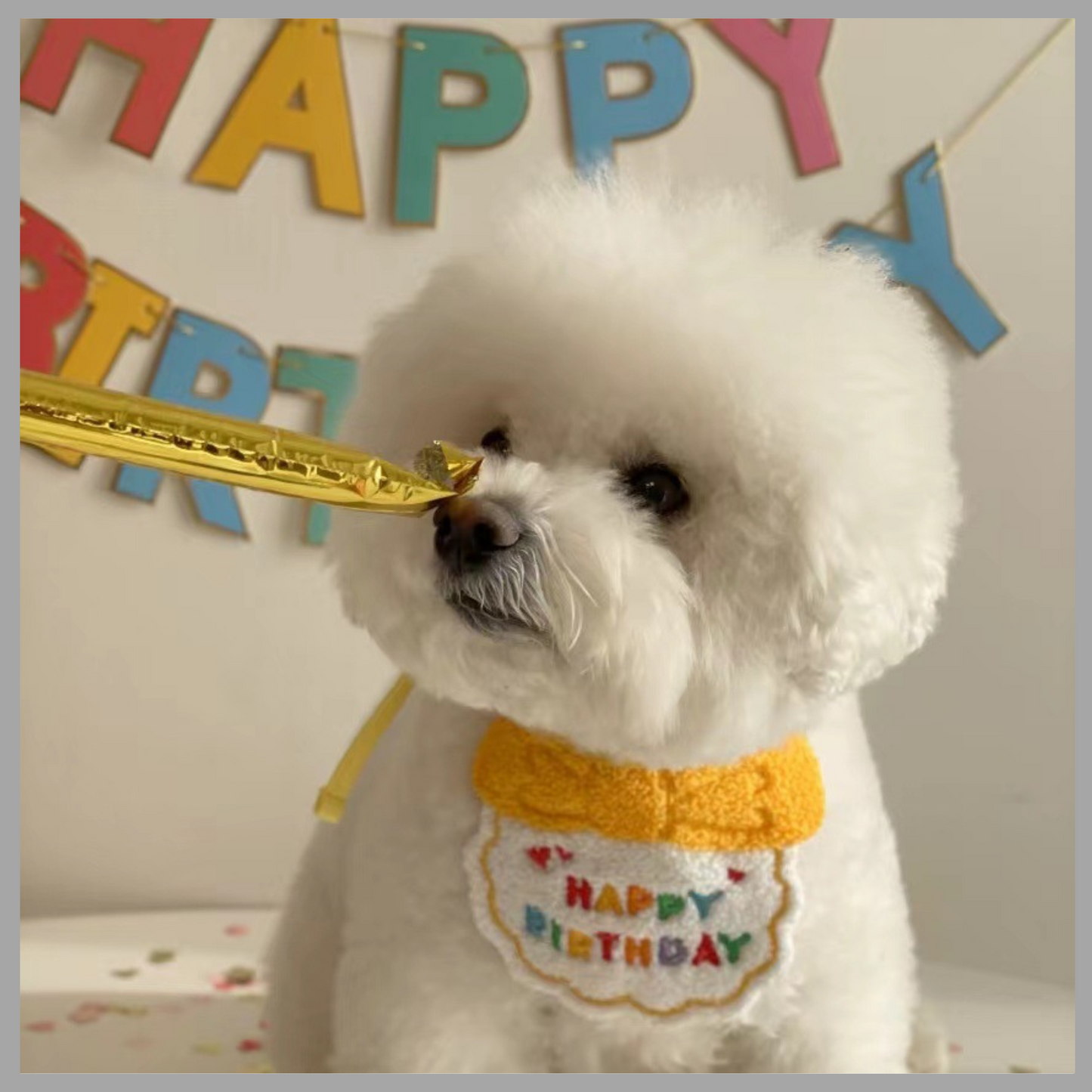 Party Birthday Hat and Bib Set for Pets