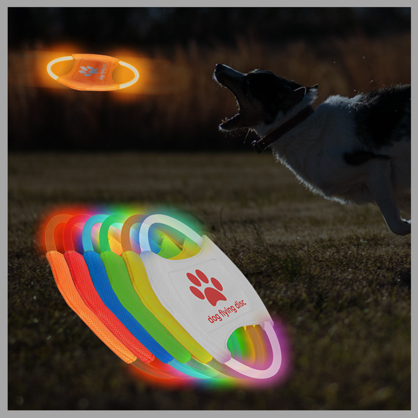 LED Glowing Dog Flying Disc