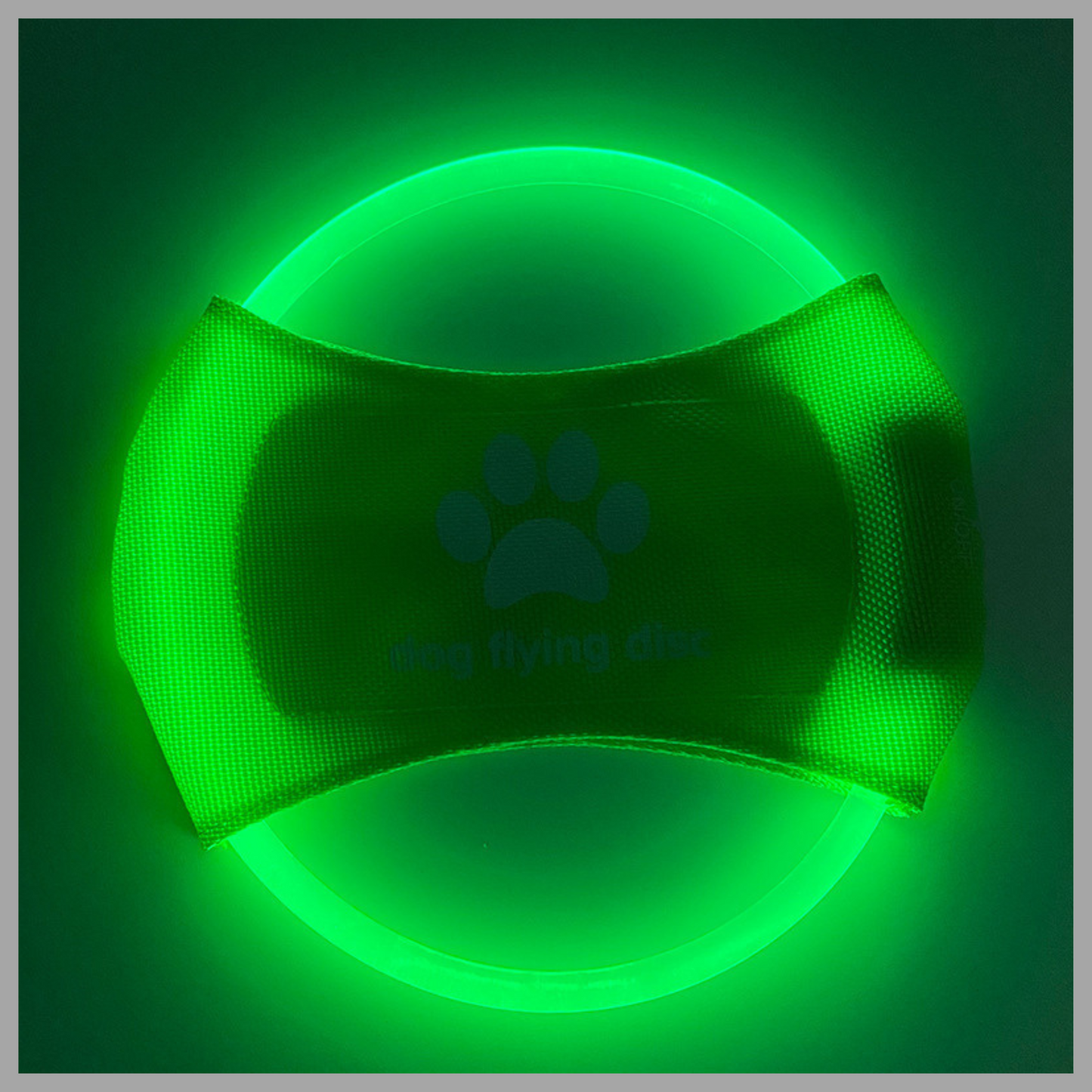 LED Glowing Dog Flying Disc