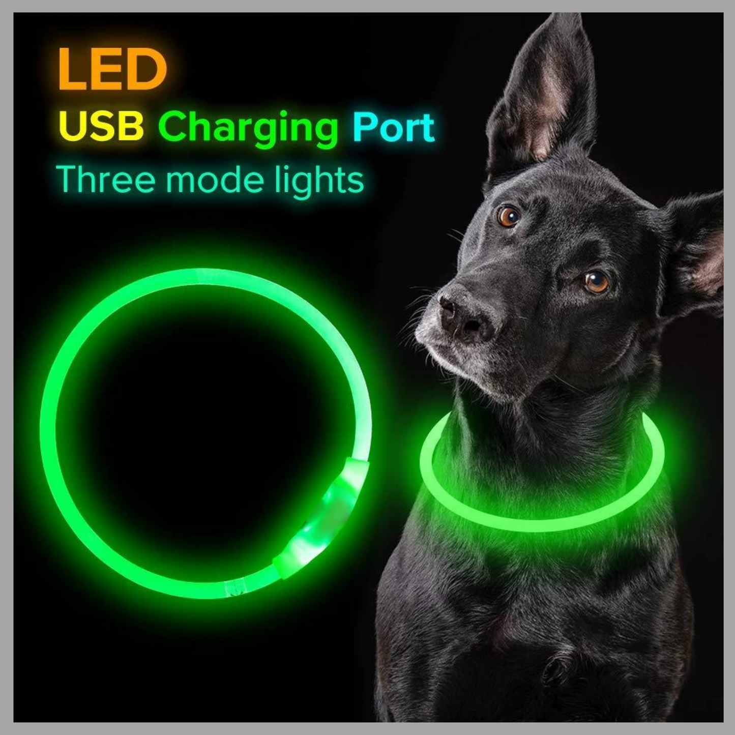 USB Rechargeable LED Pet Collar – Glowing Safety Collar for Night Walking