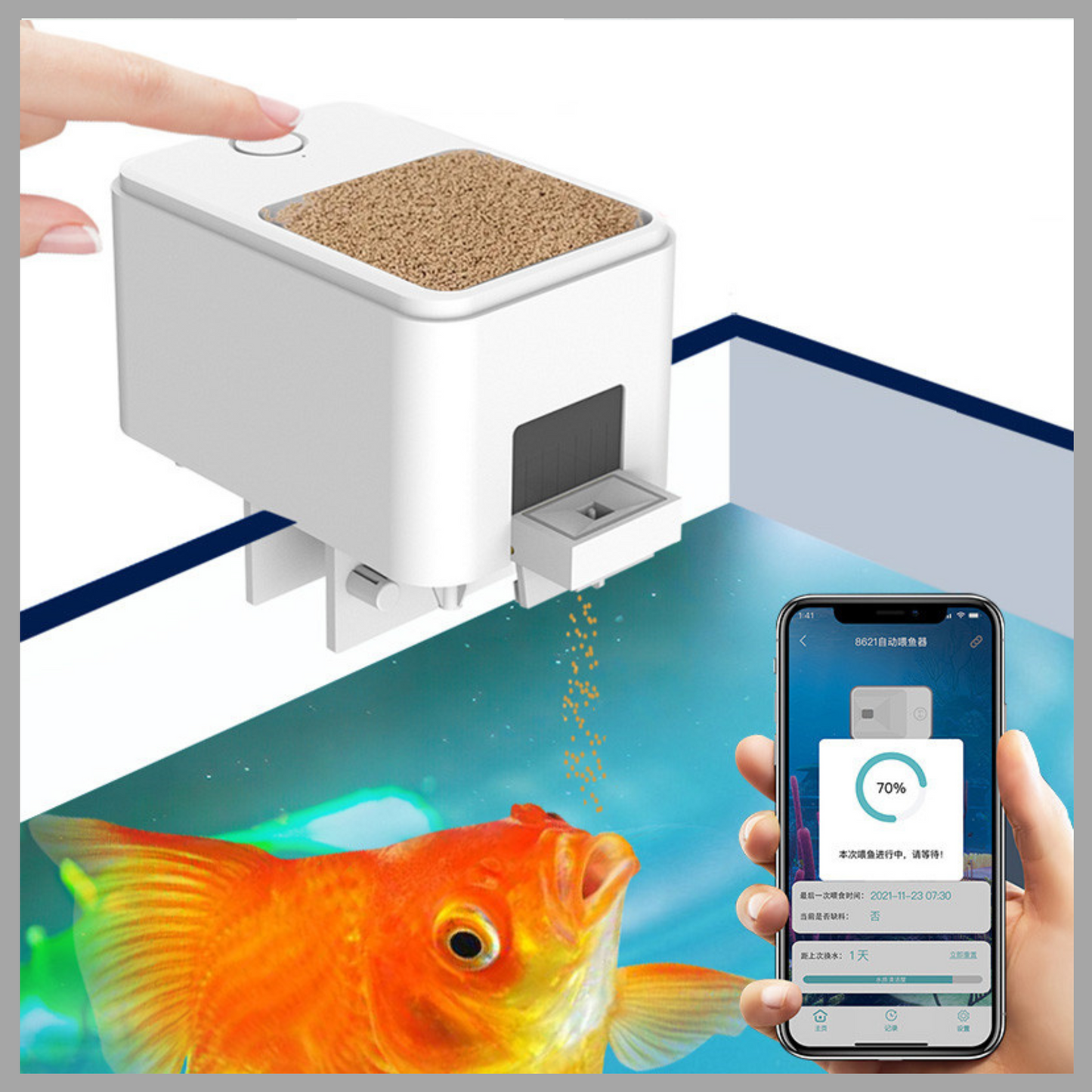 Wi-Fi Remote Intelligent Automatic Fish Feeder