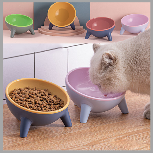 Large Capacity Cat & Dog Bowl with Stand