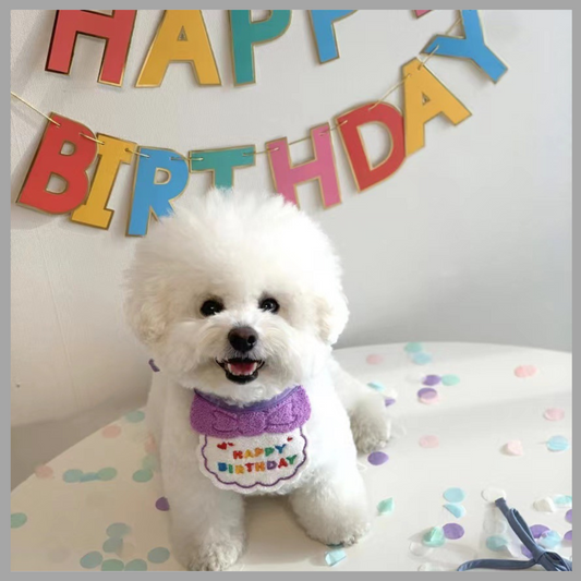 Party Birthday Hat and Bib Set for Pets