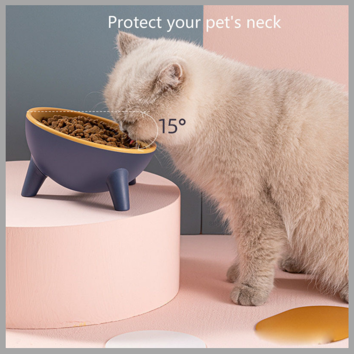 Large Capacity Cat & Dog Bowl with Stand