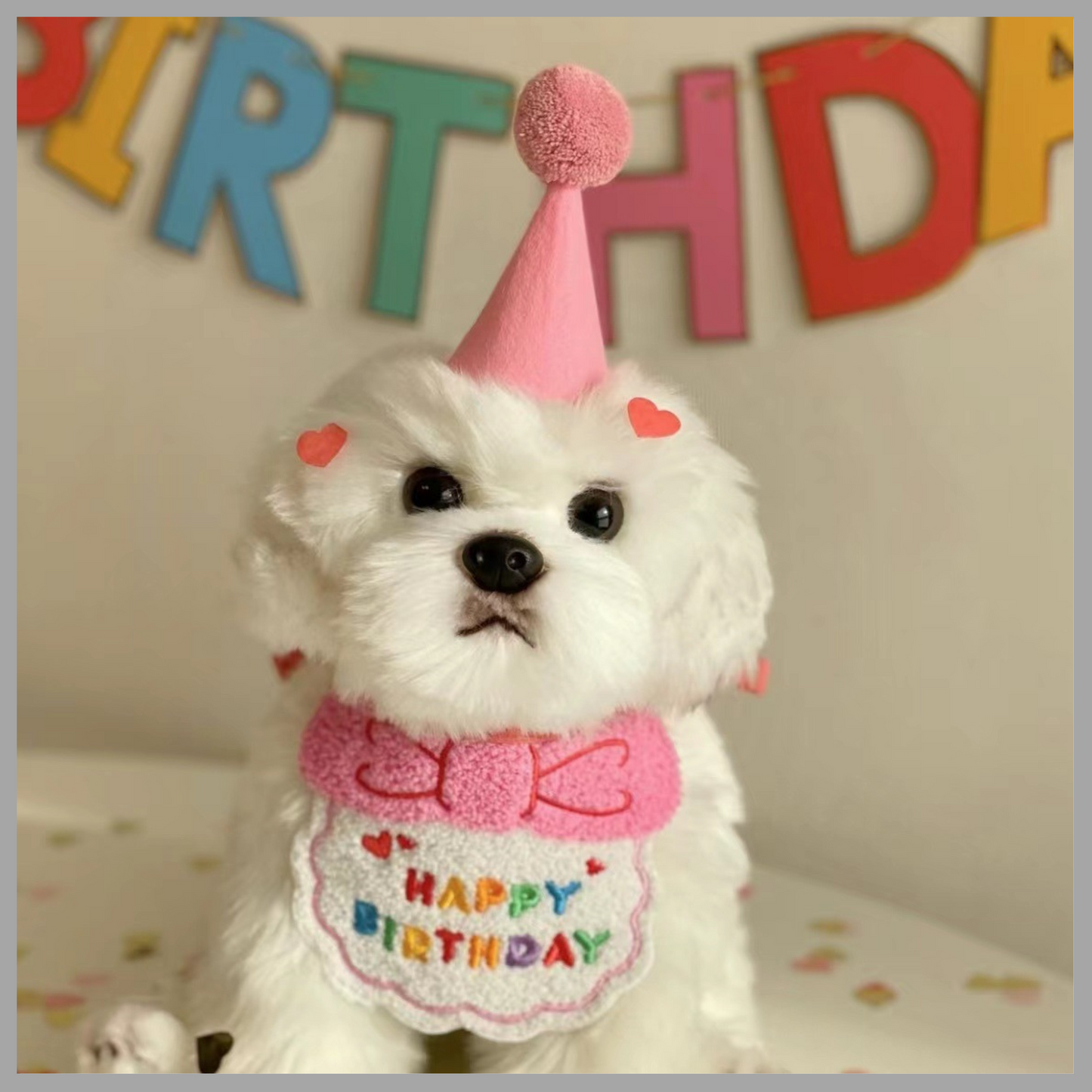 Party Birthday Hat and Bib Set for Pets