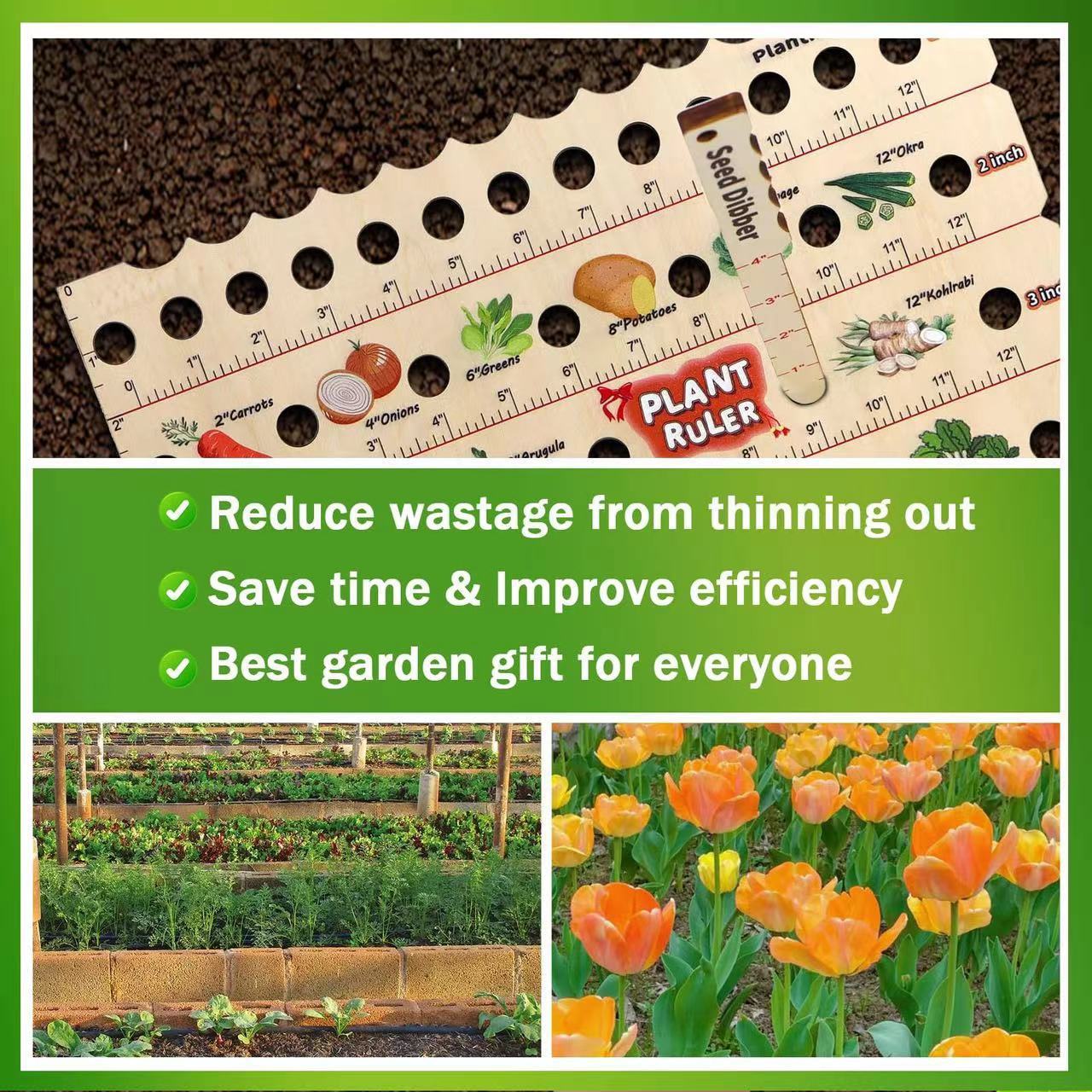 Wooden Garden Seed Spacing Ruler – Multifunctional Planting Tool for Seedlings