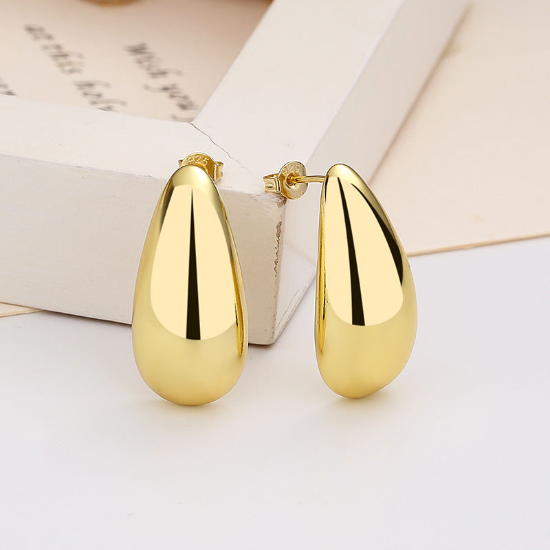 Elegant Water Drop Earrings