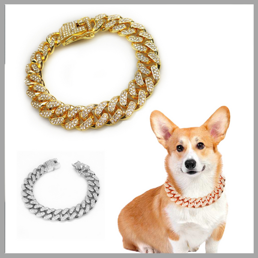 Alloy Pet Collar – Stylish & Durable, Available in Multiple Sizes for All Seasons