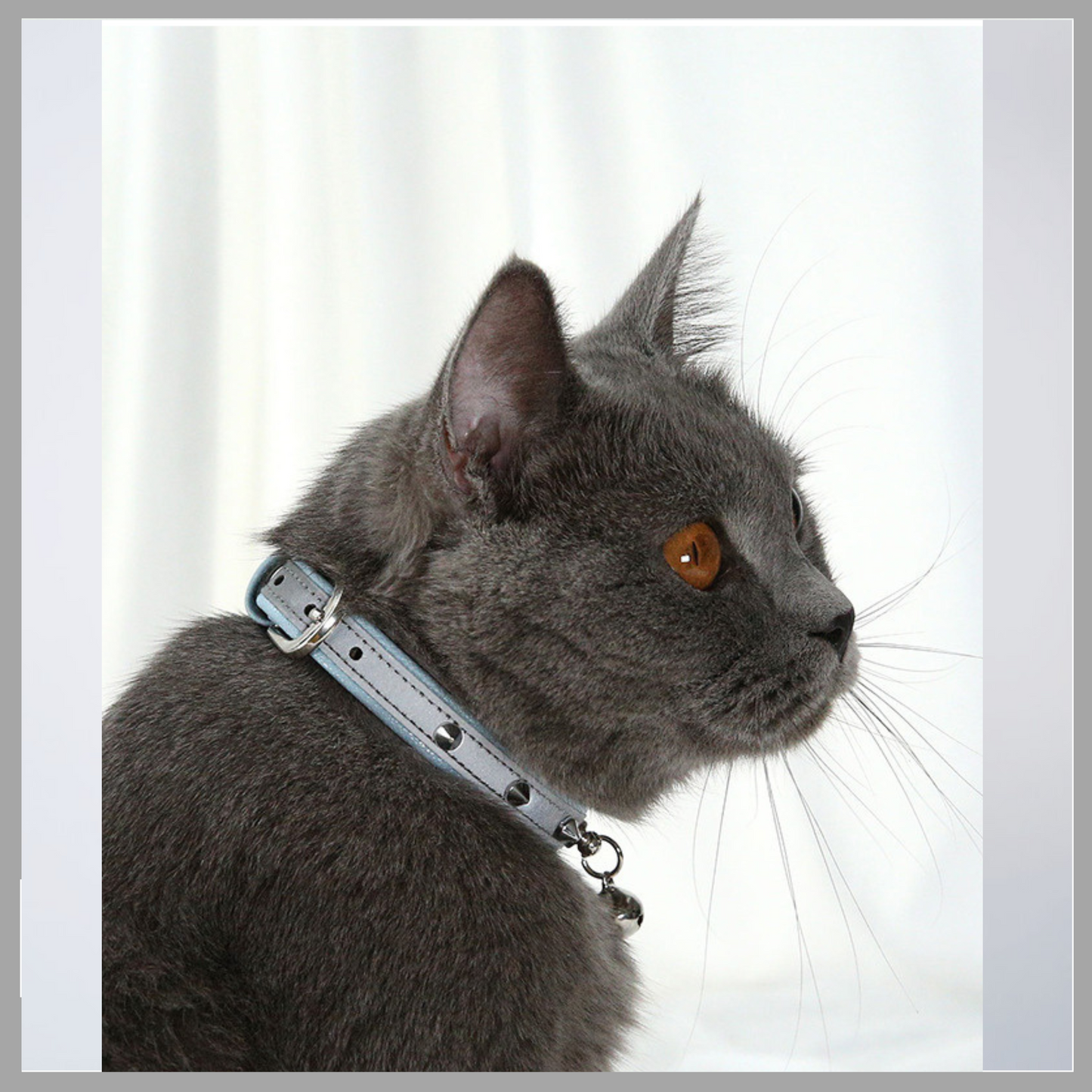 Anti-Bite Collar