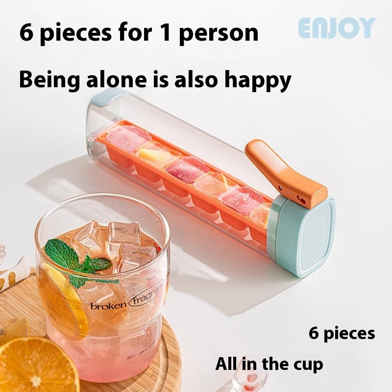 Ice Cube Mold with Storage Box
