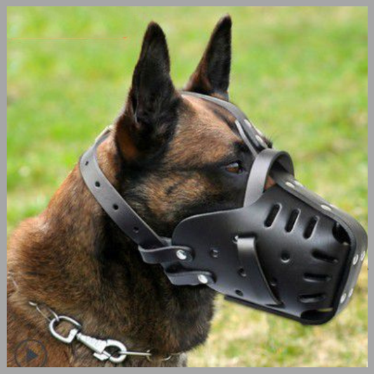 Durable Dog Muzzle for Medium & Large Dogs