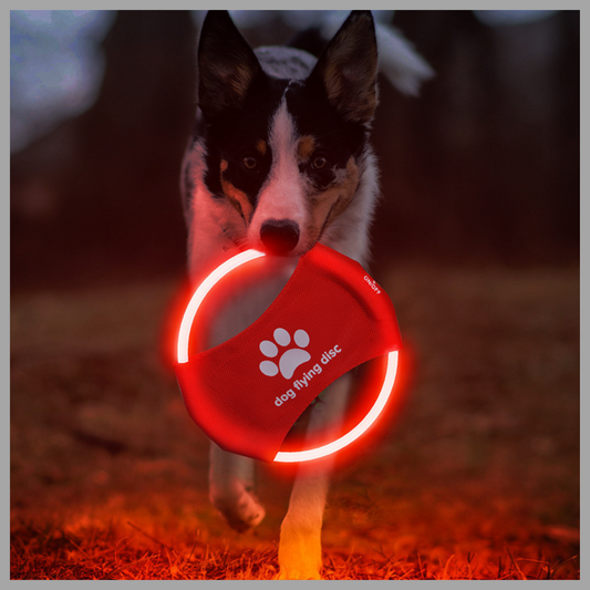 LED Glowing Dog Flying Disc