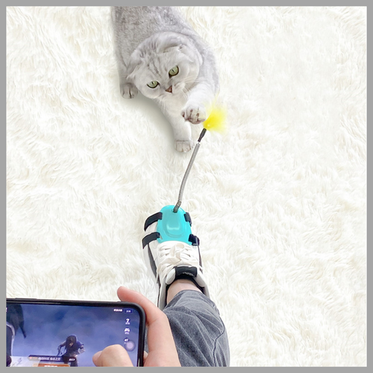 Funny Cat Stick with Strong Feathers – Interactive Cat Toy