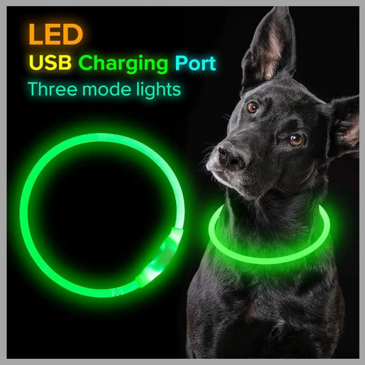 USB Rechargeable LED Pet Collar – Glowing Safety Collar for Night Walking