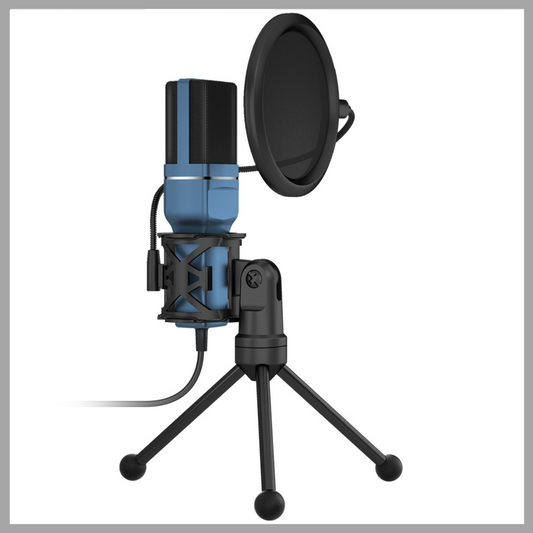 Professional Broadcast Anchor Microphone