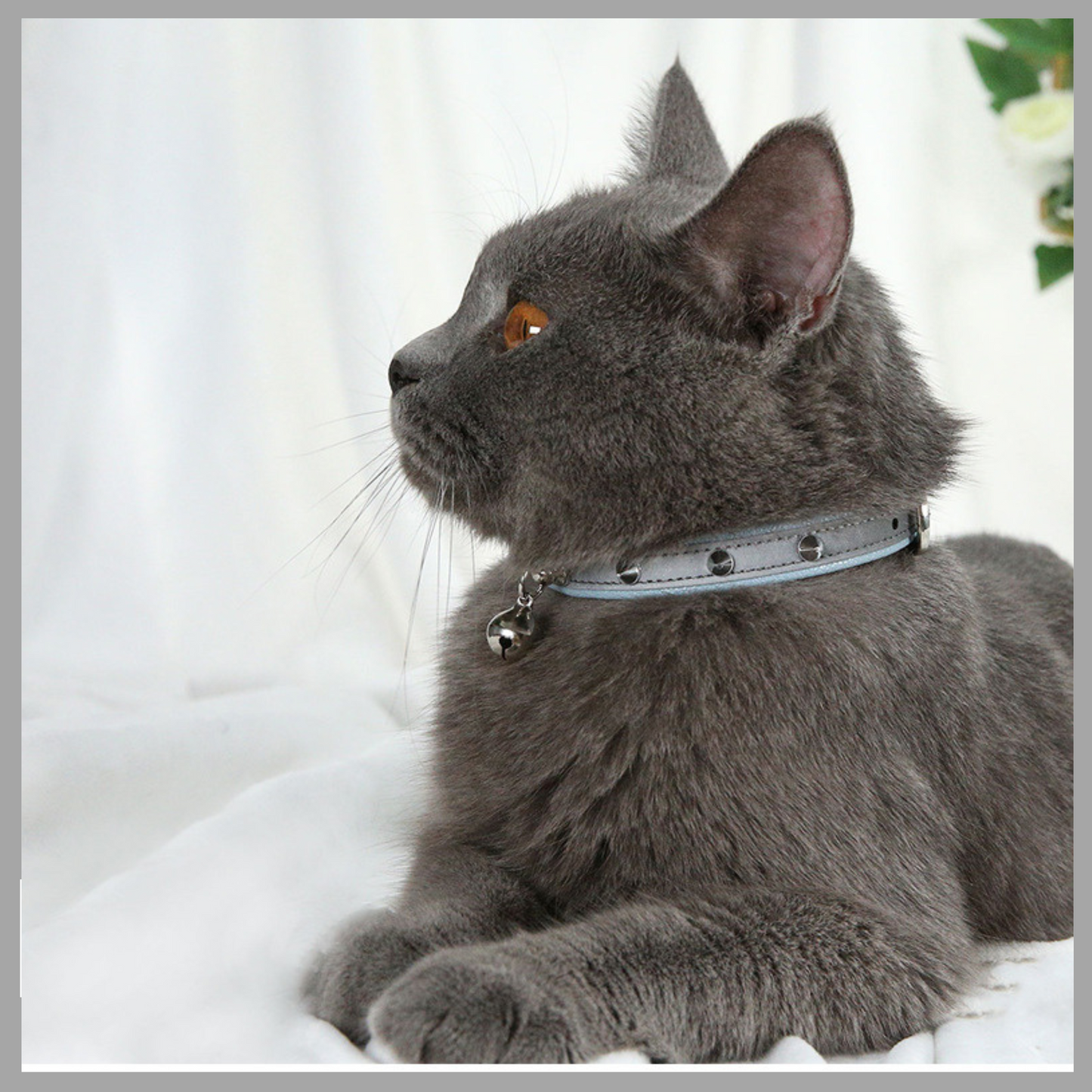 Anti-Bite Collar