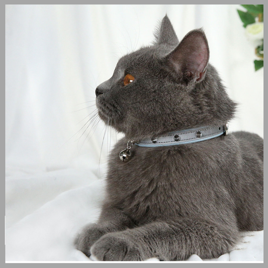 Anti-Bite Collar