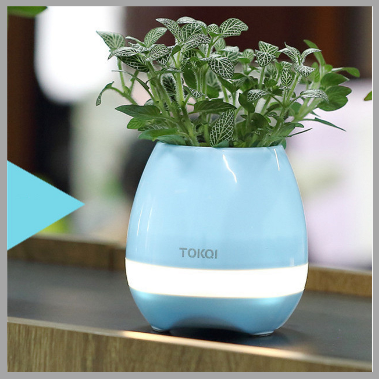 Touch-Activated Music Vase Desktop Speaker
